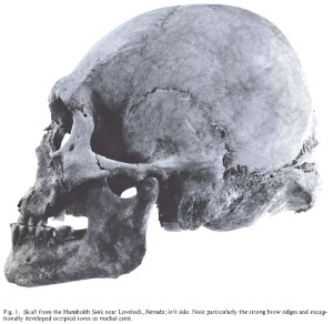 original-skull-from-humboldt-sink.jpg?w=
